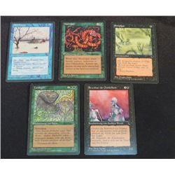 Lot Of 5 MTG German Cards From 1995