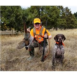 1 Day Pheasant Hunt for 2 hunters at Palomar Mountain