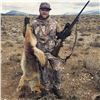 Image 1 : 3-Day Nevada Varmint Hunt for Coyotes for 2 Hunters