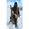 Image 3 : 3-Day Nevada Varmint Hunt for Coyotes for 2 Hunters