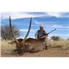 Image 4 : 10-Day Namibia hunt for 2 hunters & 2 observers with $1000 credit for each hunter toward trophy of c