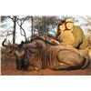 Image 6 : 10-Day Plains Game Safari for 2 Hunters in the Limpopo Province of South Africa & includes trophy fe