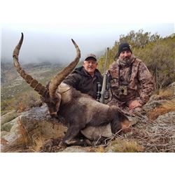 3-Day/4-Night Beceite Ibex hunt for 1 Hunter in Spain