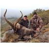 Image 1 : 3-Day/4-Night Beceite Ibex hunt for 1 Hunter in Spain