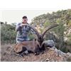 Image 3 : 3-Day/4-Night Beceite Ibex hunt for 1 Hunter in Spain