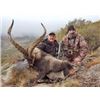 Image 4 : 3-Day/4-Night Beceite Ibex hunt for 1 Hunter in Spain
