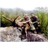 Image 5 : 3-Day/4-Night Beceite Ibex hunt for 1 Hunter in Spain