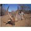 Image 4 : 7-Day South Africa Plains Game Safari for 2 Hunters - Limpopo