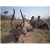 Image 6 : 7-Day South Africa Plains Game Safari for 2 Hunters - Limpopo