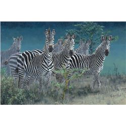 Signed, Limited Edition "Stars and Stripes Forever" Zebra Giglee