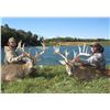 Image 4 : 3-Day/4-Night Ohio Whitetail Deer hunt for 2 hunters