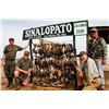 Image 1 : 3-Day/2-Night Mexico Hunt for 1 at Sinalo Pato Duck & Dove Club