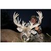 Image 6 : 3-Day/4-Night Missouri Whitetail Hunt for 1 Hunter at NFL Legend, Adam Vinatieri’s Record Breaking R
