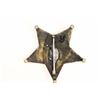 Image 2 : Deputy US Marshal badge 5 point star