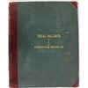 Image 1 : Original Homestake Mining 1906-1916 trial balance