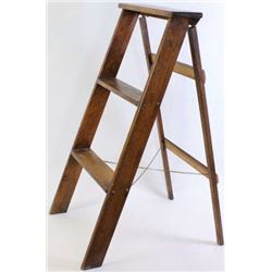 Globe Werneke 2 rung step ladder