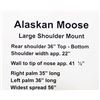 Image 2 : Large Alaskan shoulder mount moose