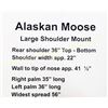 Image 3 : Large Alaskan shoulder mount moose