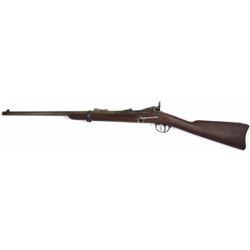 U.S. Springfield 1873 .45-70 SN11XXX