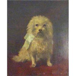 Victorian oil on canvas of a fluffy white dog, dated 1892, 60cm x 48cm