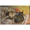 R.M.Westlake - unframed watercolour of kittens on cushions, 24cm x 35cm