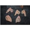 Image 1 : STAR TREK SPOCK VULCAN SILICONE EARS