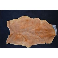 DAWN OF THE DEAD UNUSED ZOMBIE CHEST APPLIANCE 2