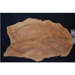 DAWN OF THE DEAD UNUSED ZOMBIE CHEST APPLIANCE 3