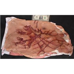 GRIMM CLAWED SILICONE CHEST GORE ON TEE SHIRT