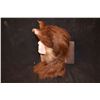 Image 2 : GRIMM SCREEN USED WEREWOLF BEAST CREATURE COWL WITH EARS 3