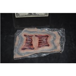 SILICONE BOMB BLAST SHRAPNEL APPLIANCE 5