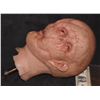 Image 3 : STAR TREK ALIEN MUTANT WITH 4 EYES SILICONE PAINT MASTER