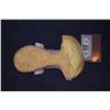 Image 2 : STAR TREK AMANDA GRAYSON WYNONA RIDER SILICONE ON FOAM LIFE CAST