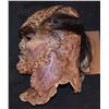 Image 2 : STAR TREK SCREEN USED ALIEN FULL HEAD MASK 1