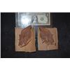 Image 1 : ZZ-CLEARANCE STAR TREK GRIMM TEEN WOLF ALIEN CREATURE DEMON WEREWOLF EARS LOT 16