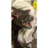 Image 2 : ZOMBIE KILLERS: ELEPHANTS GRAVEYARD SCREEN MATCHED ZOMBIE WOLF PUPPET
