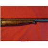 Image 11 : NEW ENGLAND 12GA SHOTGUN