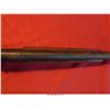 Image 21 : NEW ENGLAND 12GA SHOTGUN