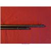 Image 12 : REMINGTON MODEL 34