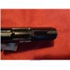 Image 13 : RAVEN ARMS MP-25/H/25