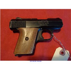 RAVEN ARMS MP-25/H/25