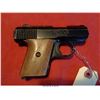 Image 1 : RAVEN ARMS MP-25/H/25