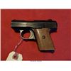 Image 2 : RAVEN ARMS MP-25/H/25