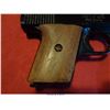 Image 6 : RAVEN ARMS MP-25/H/25