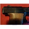 Image 7 : RAVEN ARMS MP-25/H/25