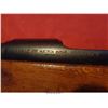 Image 4 : STEYR M95