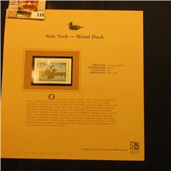 2000 Millenium New York $5.50 State Migratory Waterfowl Stamp, mounted in a plastic page with litera
