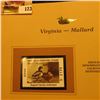 Image 2 : 2000 Millenium Virginia $5.00 State Migratory Waterfowl Stamp, mounted in a plastic page with litera