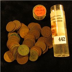 (50) Old U.S. Indian Head Cents. Mixed date in a plastic tube.
