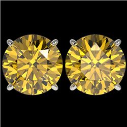 5 CTW Certified Intense Yellow SI Diamond Solitaire Stud Earrings 10K White Gold - REF-1380Y2K - 331